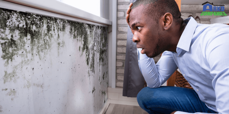 Mold Inspection What, How And Why