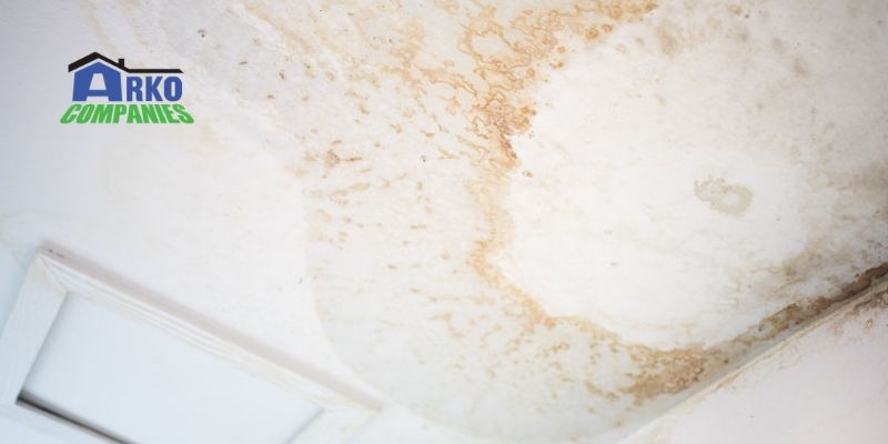Leaking Roof Repairs Things You Should Know!