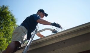 Gutter Cleaning