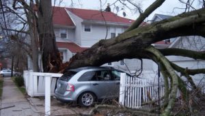 storm damage