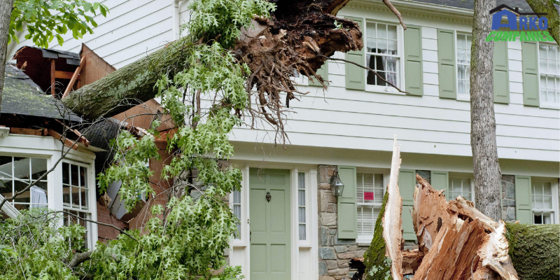Do You Want To Know The ABCs Of Dealing With Storm Damage? Then, Start Reading This Blog To Know More About It In Detail.