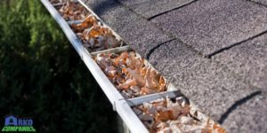 Clogged Gutters