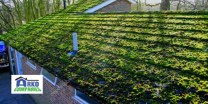 Excessive Growth Of Moss and Mildew On The Roof