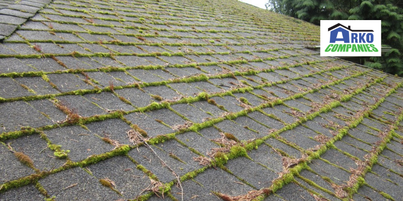 Presence Of Moss And Mildew On The Shingles