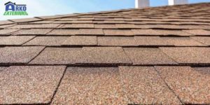 The Asphalt Shingles