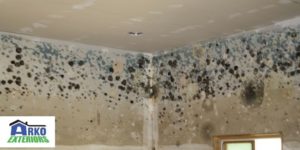 There Will Always Be A Threat Of Mold And Mildew