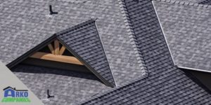 How to Remove Mold from Your Roof