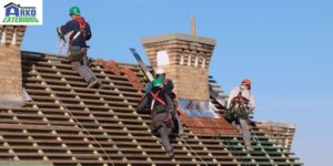 Research local roofers