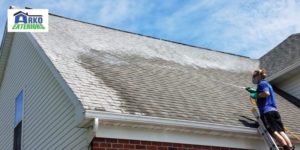 roof cleaning