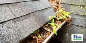 Clogged Gutters