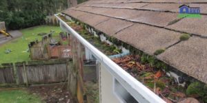 Gutters Damage .