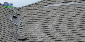 Shingles Damage .