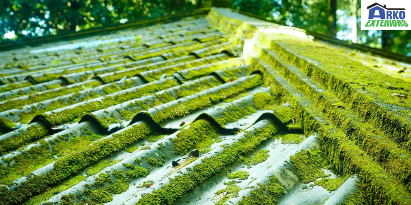 roofing professional for moss removal