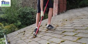 hire roofing professionals for removing moss from roof