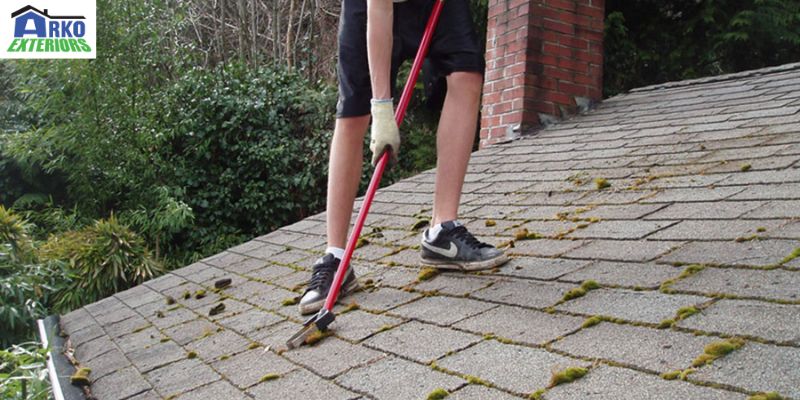 hire roofing professionals for removing moss from roof