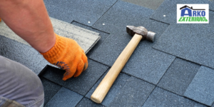 Professional Roof Inspection
