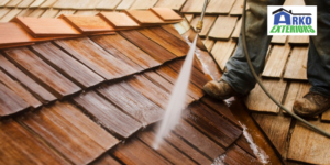 Roof Cleaning