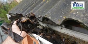 What Are The Disadvantages Of An Unclean Roof_