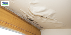 #1 Ceiling & Wall Stains Caused By Water Leakage