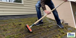 Eliminate Moss From Your Roof