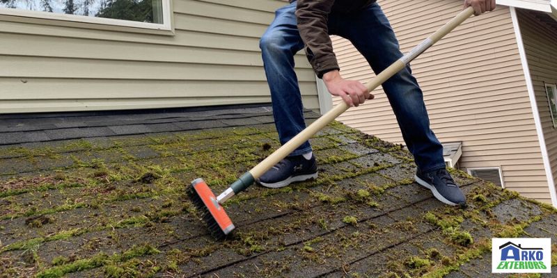 Eliminate Moss From Your Roof