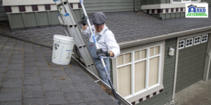 Clean up debris on the roof