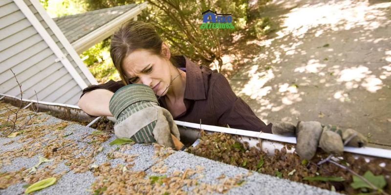 Clean and inspect gutters and downspouts