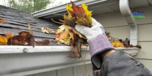 Clogged Gutters