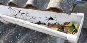 Gutter Issues