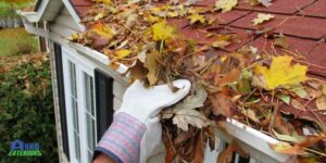 Inspect & Clean Gutters & Downspouts