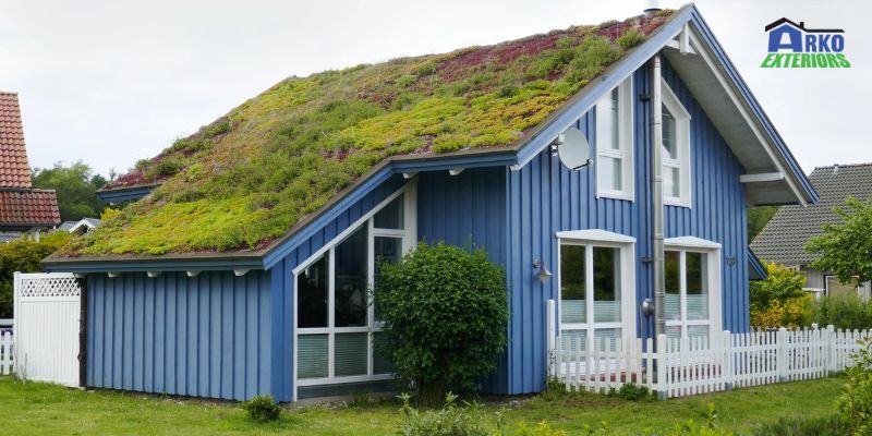 Green Roofing_ Sustainable Options For Your Home's Future