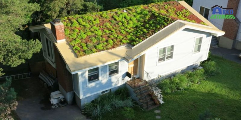 Types Of Green Roofing