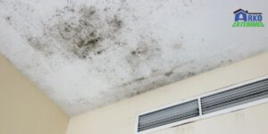 Mold Growth