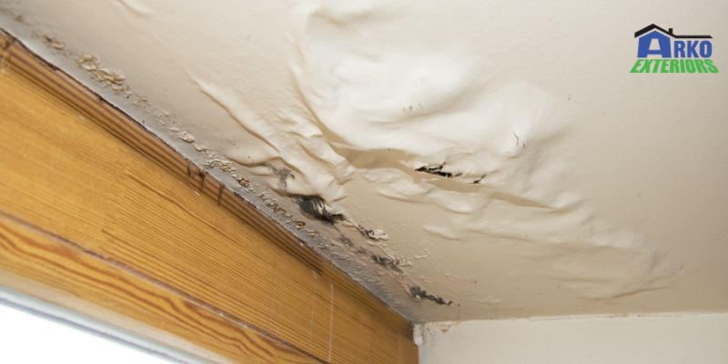 Roof Leaks & Mold_ The Dangers Of Moisture Intrusion