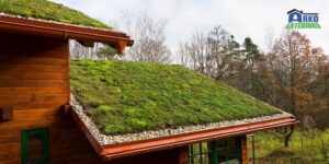 Green Roofing