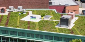 Green Roof Systems